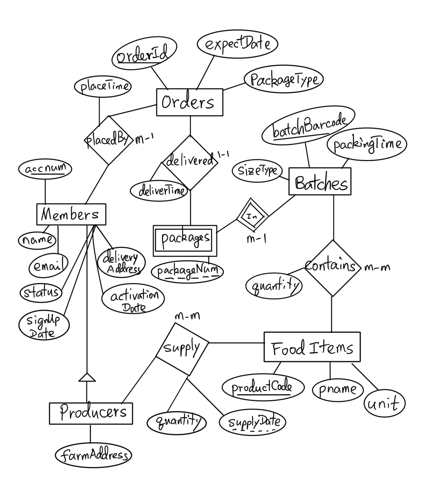 ER Diagram of the Food Sharing Program